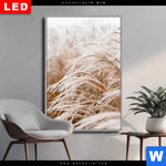 Wechselmotiv Dia Pampasgras Hochformat Produktvorschau mit dem Bild Pampasgras im Format Hochformat.