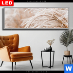 Wechselmotiv Dia Pampasgras Panorama Produktvorschau mit dem Bild Pampasgras im Format Panorama.