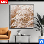 Wechselmotiv Dia Pampasgras Quadrat Produktvorschau mit dem Bild Pampasgras im Format Quadrat.