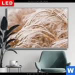 Wechselmotiv Dia Pampasgras Querformat Produktvorschau mit dem Bild Pampasgras im Format Querformat.