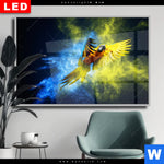 Wechselmotiv Dia Papagei Farbexplosion Querformat Produktvorschau mit dem Bild Papagei - Farbexplosion im Format Querformat.