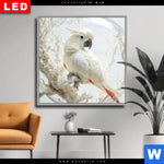 Wechselmotiv Dia Papagei Zarte Gefangenschaft Quadrat Produktvorschau mit dem Bild Papagei - Zarte Gefangenschaft im Format Quadrat.