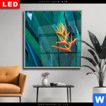 Wechselmotiv Dia Paradiesvogelblume Quadrat Produktvorschau mit dem Bild Paradiesvogelblume im Format Quadrat.