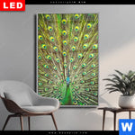 Wechselmotiv Dia Pfauenschwanz Hochformat Produktvorschau mit dem Bild Pfauenschwanz im Format Hochformat.