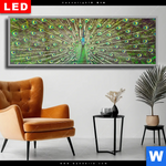 Wechselmotiv Dia Pfauenschwanz Panorama Produktvorschau mit dem Bild Pfauenschwanz im Format Panorama.