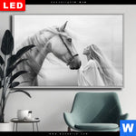 Wechselmotiv Dia Pferd Wildnis Liebe Querformat Produktvorschau mit dem Bild Pferd - Wildnis Liebe im Format Querformat.