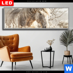 Wechselmotiv Dia Pferdeliebe Stolze Freiheit Panorama Produktvorschau mit dem Bild Pferdeliebe - Stolze Freiheit im Format Panorama.