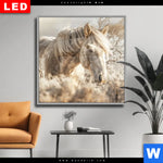 Wechselmotiv Dia Pferdeliebe Stolze Freiheit Quadrat Produktvorschau mit dem Bild Pferdeliebe - Stolze Freiheit im Format Quadrat.