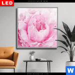 Wechselmotiv Dia Pfingstrose Quadrat Produktvorschau mit dem Bild Pfingstrose im Format Quadrat.