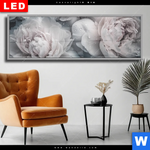 Wechselmotiv Dia Pony Flowers Panorama Produktvorschau mit dem Bild Pony Flowers im Format Panorama.