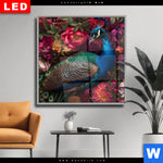Wechselmotiv Dia Prachtvoller Pfau Und Blueten Quadrat Produktvorschau mit dem Bild Prachtvoller Pfau und Blüten im Format Quadrat.