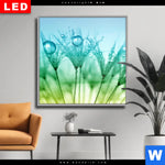 Wechselmotiv Dia Pusteblume Mit Tautropfen Quadrat Produktvorschau mit dem Bild Pusteblume mit Tautropfen im Format Quadrat.