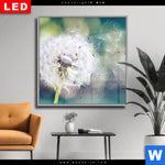 Wechselmotiv Dia Pusteblume No 3 Quadrat Produktvorschau mit dem Bild Pusteblume No. 3 im Format Quadrat.