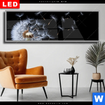 Wechselmotiv Dia Pusteblume No 6 Panorama Produktvorschau mit dem Bild Pusteblume No. 6 im Format Panorama.