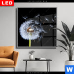 Wechselmotiv Dia Pusteblume No 6 Quadrat Produktvorschau mit dem Bild Pusteblume No. 6 im Format Quadrat.