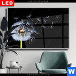 Wechselmotiv Dia Pusteblume No 6 Querformat Produktvorschau mit dem Bild Pusteblume No. 6 im Format Querformat.