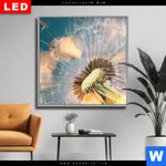 Wechselmotiv Dia Pusteblume No 7 Quadrat Produktvorschau mit dem Bild Pusteblume No. 7 im Format Quadrat.