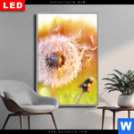 Wechselmotiv Dia Pusteblume No 8 Hochformat Produktvorschau mit dem Bild Pusteblume No. 8 im Format Hochformat.