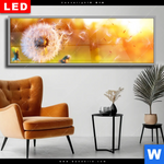 Wechselmotiv Dia Pusteblume No 8 Panorama Produktvorschau mit dem Bild Pusteblume No. 8 im Format Panorama.
