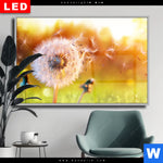 Wechselmotiv Dia Pusteblume No 8 Querformat Produktvorschau mit dem Bild Pusteblume No. 8 im Format Querformat.