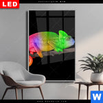 Wechselmotiv Dia Regenbogen Chamaeleon Hochformat Produktvorschau mit dem Bild Regenbogen Chamäleon im Format Hochformat.
