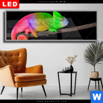 Wechselmotiv Dia Regenbogen Chamaeleon Panorama Produktvorschau mit dem Bild Regenbogen Chamäleon im Format Panorama.