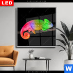 Wechselmotiv Dia Regenbogen Chamaeleon Quadrat Produktvorschau mit dem Bild Regenbogen Chamäleon im Format Quadrat.