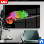 Wechselmotiv Dia Regenbogen Chamaeleon Querformat Produktvorschau mit dem Bild Regenbogen Chamäleon im Format Querformat.