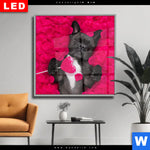 Wechselmotiv Dia Romantik Mit Suessen Hunden Quadrat Produktvorschau mit dem Bild Romantik mit süßen Hunden im Format Quadrat.