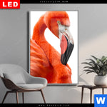 Wechselmotiv Dia Rosa Flamingo Hochformat Produktvorschau mit dem Bild Rosa Flamingo im Format Hochformat.