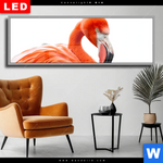 Wechselmotiv Dia Rosa Flamingo Panorama Produktvorschau mit dem Bild Rosa Flamingo im Format Panorama.