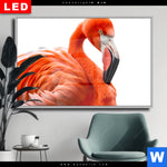 Wechselmotiv Dia Rosa Flamingo Querformat Produktvorschau mit dem Bild Rosa Flamingo im Format Querformat.