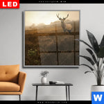 Wechselmotiv Dia Rothirsch Im Nebel Quadrat Produktvorschau mit dem Bild Rothirsch im Nebel im Format Quadrat.