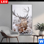 Wechselmotiv Dia Rothirsch Im Winter Hochformat Produktvorschau mit dem Bild Rothirsch im Winter im Format Hochformat.