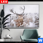 Wechselmotiv Dia Rothirsch Im Winter Querformat Produktvorschau mit dem Bild Rothirsch im Winter im Format Querformat.