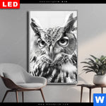 Wechselmotiv Dia Schwarz Weiss Eulenportrait Hochformat Produktvorschau mit dem Bild Schwarz-Weiß Eulenportrait im Format Hochformat.