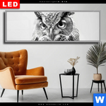 Wechselmotiv Dia Schwarz Weiss Eulenportrait Panorama Produktvorschau mit dem Bild Schwarz-Weiß Eulenportrait im Format Panorama.