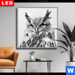 Wechselmotiv Dia Schwarz Weiss Eulenportrait Quadrat Produktvorschau mit dem Bild Schwarz-Weiß Eulenportrait im Format Quadrat.