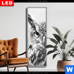 Wechselmotiv Dia Schwarz Weiss Eulenportrait Schmal Produktvorschau mit dem Bild Schwarz-Weiß Eulenportrait im Format Schmal.