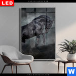 Wechselmotiv Dia Schwarzer Hengst Hochformat Produktvorschau mit dem Bild Schwarzer Hengst im Format Hochformat.