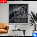 Wechselmotiv Dia Schwarzer Hengst Quadrat Produktvorschau mit dem Bild Schwarzer Hengst im Format Quadrat.