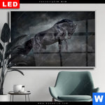 Wechselmotiv Dia Schwarzer Hengst Querformat Produktvorschau mit dem Bild Schwarzer Hengst im Format Querformat.