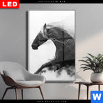 Wechselmotiv Dia Schwarzes Pferd Voller Energie Hochformat Produktvorschau mit dem Bild Schwarzes Pferd voller Energie im Format Hochformat.