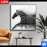 Wechselmotiv Dia Schwarzes Pferd Voller Energie Quadrat Produktvorschau mit dem Bild Schwarzes Pferd voller Energie im Format Quadrat.