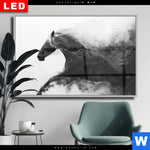 Wechselmotiv Dia Schwarzes Pferd Voller Energie Querformat Produktvorschau mit dem Bild Schwarzes Pferd voller Energie im Format Querformat.