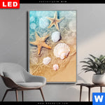 Wechselmotiv Dia Seesterne Muscheln Hochformat Produktvorschau mit dem Bild Seesterne & Muscheln im Format Hochformat.
