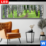 Wechselmotiv Dia Sommerbirken Panorama Produktvorschau mit dem Bild Sommerbirken im Format Panorama.