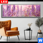Wechselmotiv Dia Sommeridylle Mit Lavendel Panorama Produktvorschau mit dem Bild Sommeridylle mit Lavendel im Format Panorama.