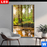 Wechselmotiv Dia Sonne Im Gruenen Wald Hochformat Produktvorschau mit dem Bild Sonne im grünen Wald im Format Hochformat.