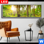 Wechselmotiv Dia Sonne Im Gruenen Wald Panorama Produktvorschau mit dem Bild Sonne im grünen Wald im Format Panorama.